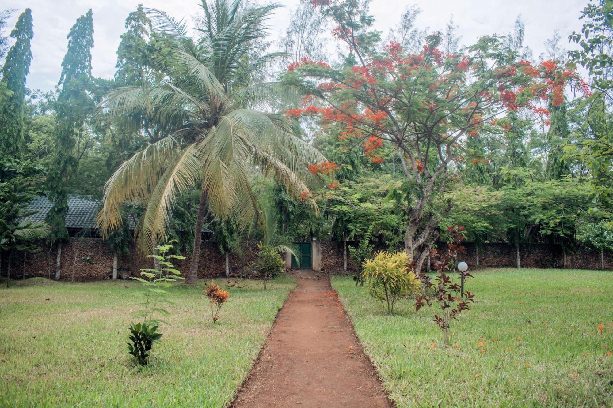 Kijani Cottages In Diani 디아니 해변 외부 사진