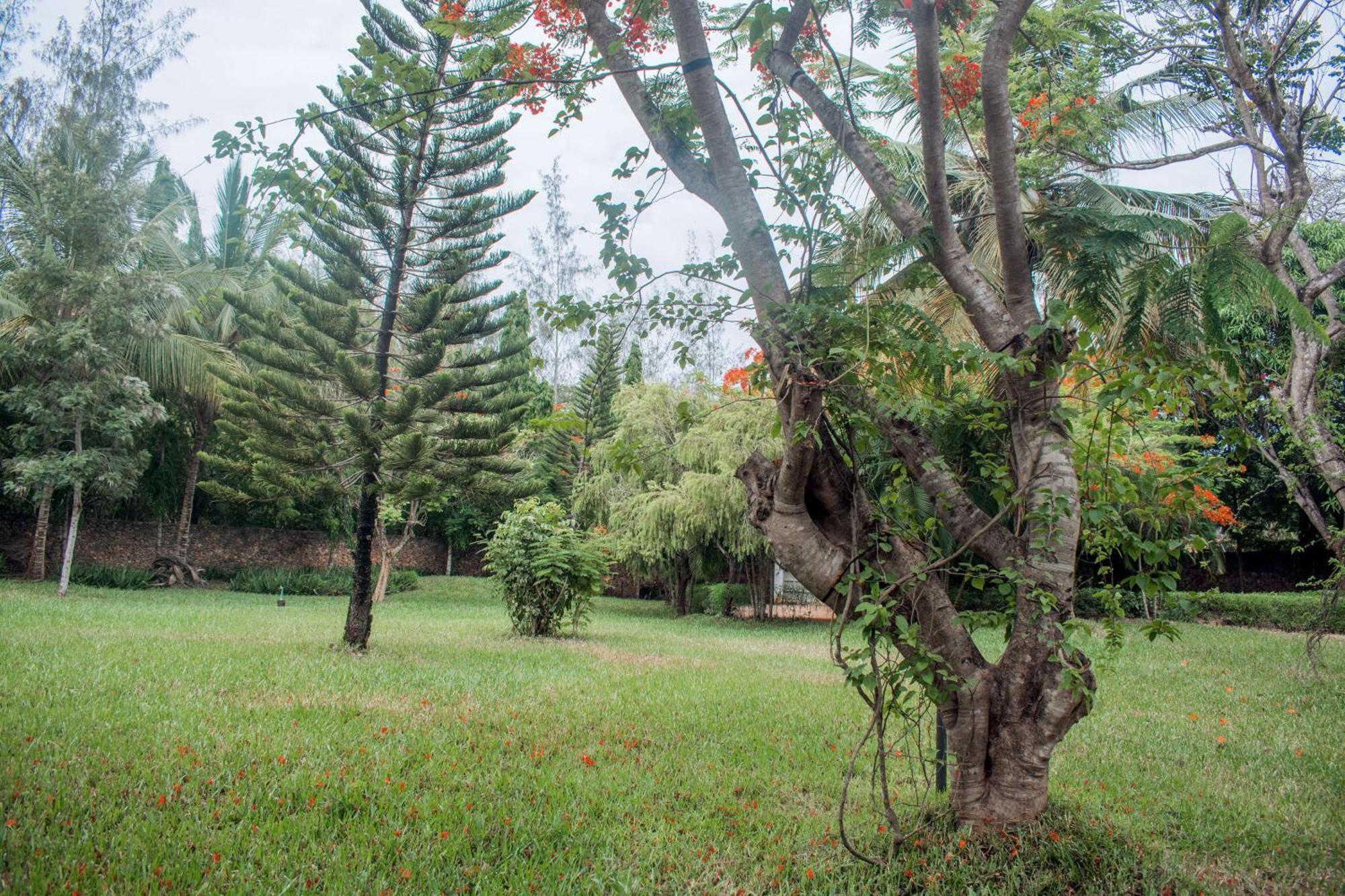 Kijani Cottages In Diani 디아니 해변 외부 사진