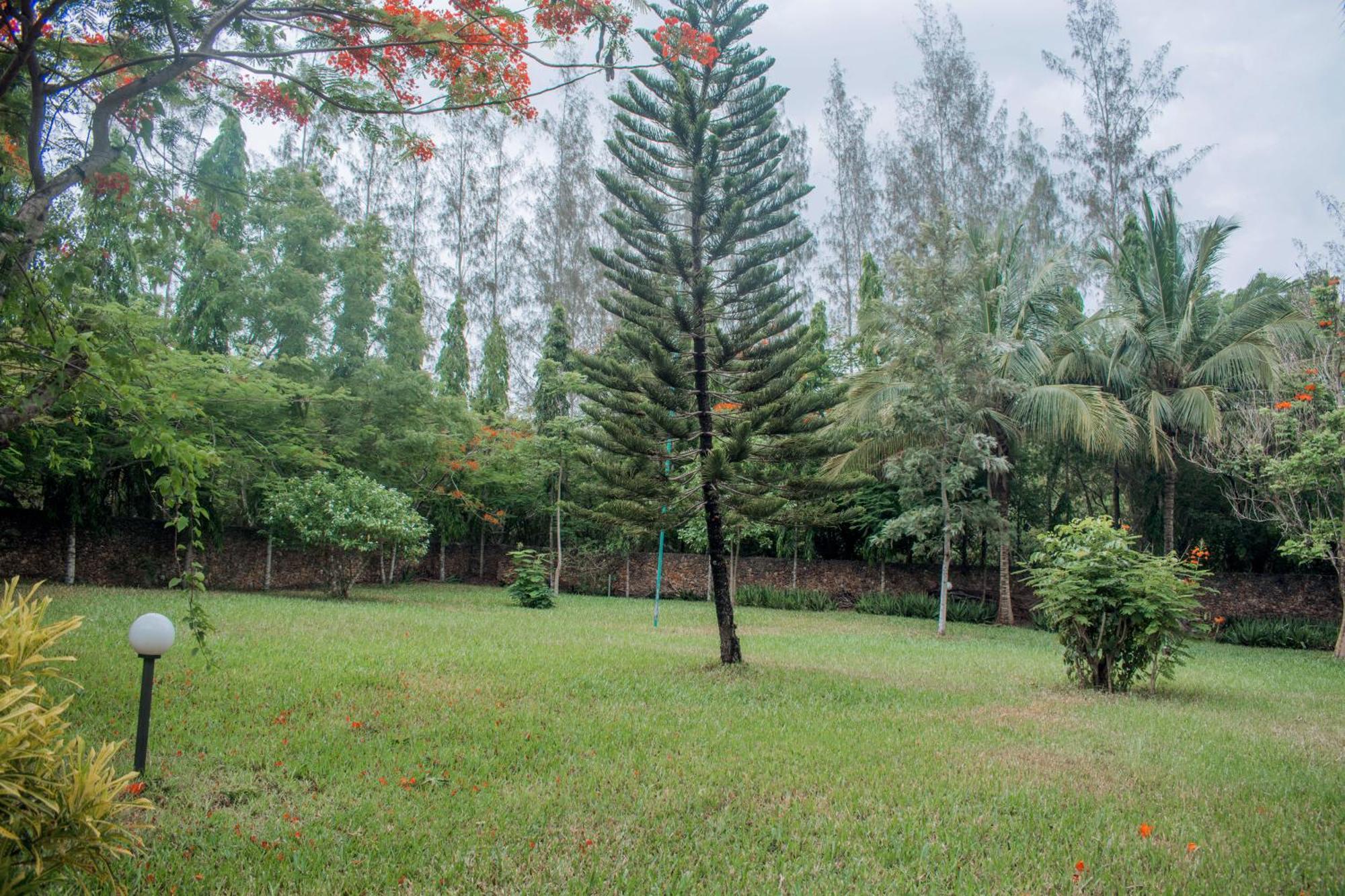 Kijani Cottages In Diani 디아니 해변 외부 사진