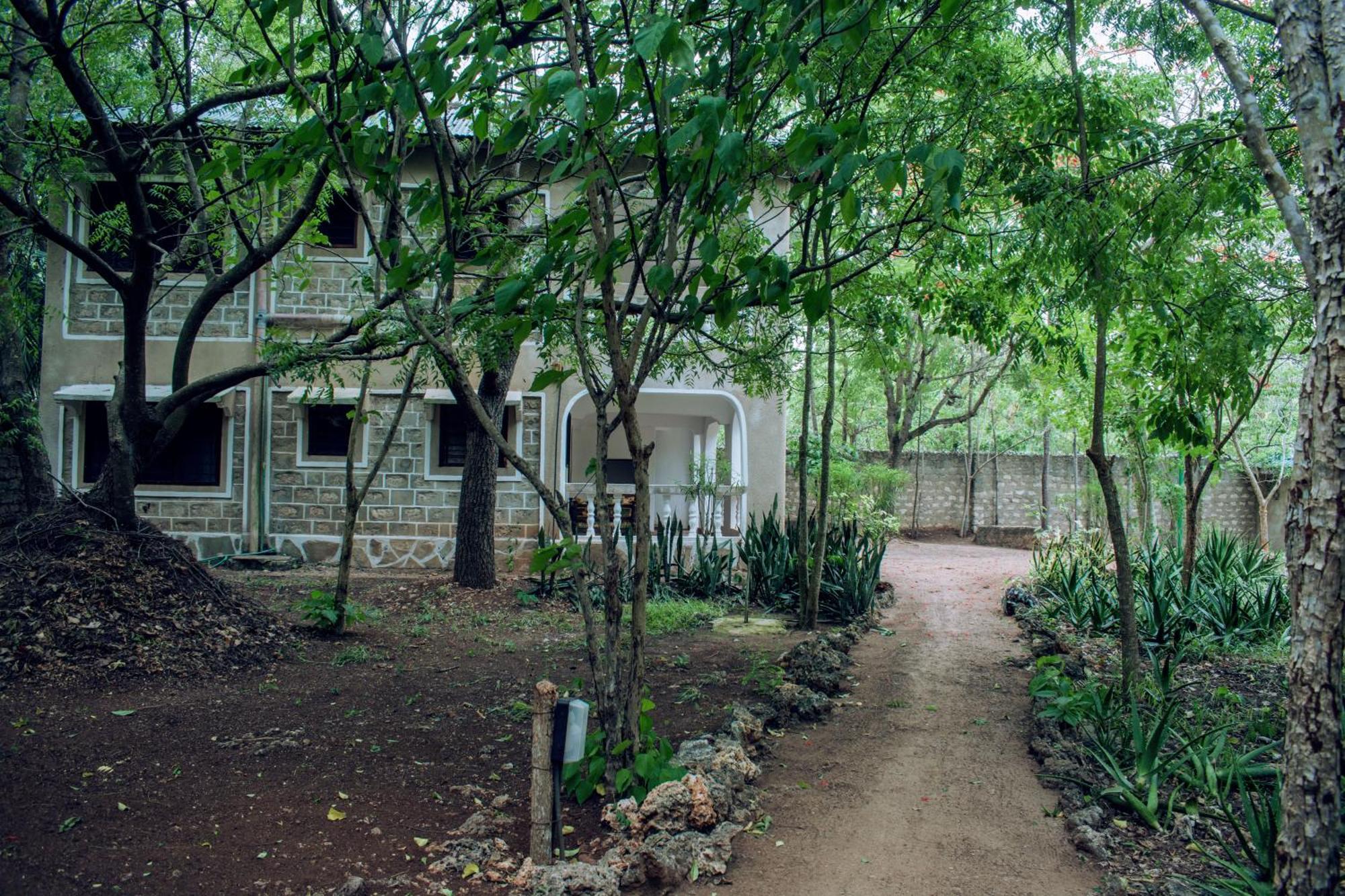 Kijani Cottages In Diani 디아니 해변 외부 사진